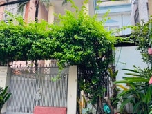 Hình ảnh Bán nhà rộng đẹp hẻm xe hơi (6x18) 434/67 phạm văn chiêu, P9, Gò Vấp