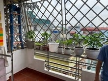 Hình ảnh Bán đất Dốc Tam Đa, Th giá 16 tỷ, gần 60m2, ô tô đỗ, KD được