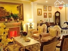 Hình ảnh Biệt thự villa văn phòng ngang 8mx18m,sát Vạn Hạnh Mall, cực hiếm, Q10