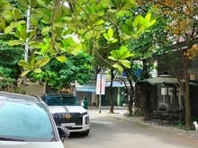 Hình ảnh 💥MP_Cầu Bây Sài Đồng- Kinh Doanh Bề Thế -7 Tầng Thang Máy - Nhiều Cây