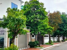 Hình ảnh Lan Viên 2 Villas Đặng Xá_342m 4 Tầng Đẳng Cấp+Full Nội Thất Nhập Khẩu