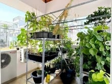 Hình ảnh [Phường Bàn Cờ] Bán Nhà 5 Tầng HXH 10M –Kinh Doanh Sầm Uất –Chỉ 9.5 Tỷ