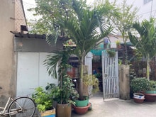 Hình ảnh 🏡 Đất lớn Bùi Văn Ba 258m² giá 19 tỷ - ô tô tới nhà, xây CHDV cực đẹp