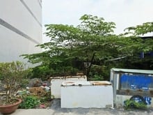 Hình ảnh Bán Đất -  Ngang Khủng 10m - 232m2 - Khu Vực Xây Cao - Long Phước