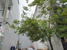 Hình ảnh Bán đất hẻm xe hơi đường số 102,P tăng nhơn phú A, tp thủ đức