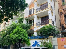 Hình ảnh Cho Thuê Tòa Nhà Hoa Đào – Biệt Thự Văn Phòng, Có Hầm Và Thang Máy