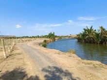 Hình ảnh Bán gấp đất nhà vườn MT SÔNG Nhơn Trạch, giá rẻ,THỔ, OTO, SHR,GỌI NGAY