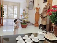 Hình ảnh Phố Tân Ấp – Ba Đình – Ô Tô Tránh – 61 M – 5 T – MT 5 M – Giá 19.5 Tỷ.