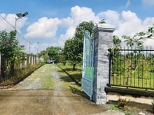 Hình ảnh Bán nhà vườn kèm khu trang trại đã XD hoàn thiện cơ bản, hệ sinh thái