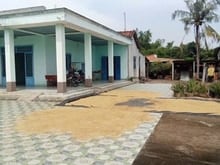 Hình ảnh Chính chủ cần bán nhà vườn với(643m)giá 2ty1 xã Tân An Hội