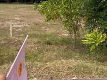 Hình ảnh Sở Hữu Ngay Đất Mặt Tiền Đt795, Tân Châu, Tây Ninh Cơ Hội Sinh Lời Cao
