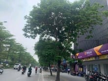 Hình ảnh Bán tòa văn phòng mặt phố Đống Đa- Mặt tiền siêu rộng- 245m- hơn 200tỷ