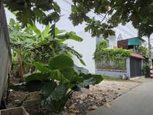Hình ảnh Bán đất Thới Tam Thôn Hóc Môn 127m² thổ cư, đường ô tô 5m