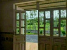Hình ảnh Bán nhà vườn xã phước thạnh, diện tích 18×56=1000m,
