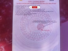 Hình ảnh Đất Đẹp Phước Hòa – Mặt Tiền Nhựa Dh514 – 890 Triệu Sở Hữu Ngay!