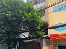 Hình ảnh Bán nhà mt Trường Chinh phường 12,quận Tân Bình.DT: 5x21m. Giá: 20,5ty