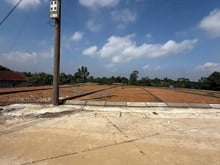 Hình ảnh Bán đất cẩm lĩnh, ba vì-238m-giá chỉ 1,22 tỷ