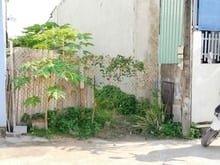 Hình ảnh Bán Đất HXH , Đường Võ Văn Hát , P.Long Trường , Q.9 , Giá Tốt Nhất