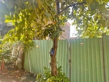 Hình ảnh Lô đất 6x10m hẻm 139 Hoàng Quốc Việt liền kề Phú Mỹ Hưng, Quận 7