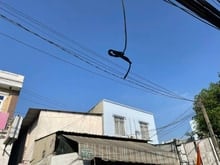 Hình ảnh Bán gấp nhà 130m2, mặt tiền đường Lê Văn Thịnh nối dài, Quận 2 giá tốt