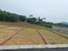 Hình ảnh chưa tới 200tr sở hữu ngay siêu tiện ích tại LẠC THỦY HÒA BÌNH