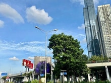 Hình ảnh Nhà 2 Tầng Nguyễn Hữu Cảnh, Cách Landmark 81 Chỉ 300m, SD 90m², 6.9 tỷ