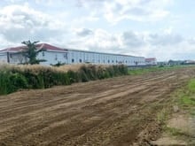 Hình ảnh Đất nền hiếm khu dân cư Cần Giuộc giá chỉ 7,5 triệu/m2.