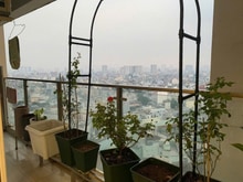 Hình ảnh Giá 15tr5/th, 110m2, 3PN, 2WC, Nội thất, C/c Oriental, Âu Cơ, TPhú