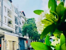 Hình ảnh Bán nhà mặt tiền đẹp (5x16) 38 Đinh Bộ Lĩnh p26 Bình Thạnh (Vincom