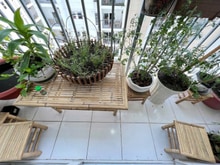 Hình ảnh Căn Góc, C/cOriental, Âu Cơ, TP: 3p ngủ, 117m2, đầy đủ NT, 15tr5/th.