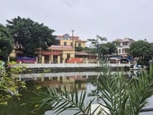 Hình ảnh Chính chủ bán 203m2 MT 13,3m đất Đặng Xá, Gia Lâm ngõ ô tô thông hồ ĐH