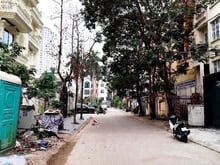 Hình ảnh Bán Biệt thự KĐTM Cầu Bươu, vị trí đẹp, view vườn hoa, vỉa hè rộng
