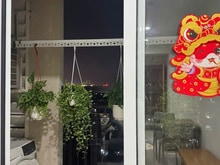 Hình ảnh Cho thuê chung cư Phúc Yên 85m2, 2PN, full nội thất gia 8.5tr/th