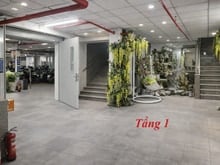 Hình ảnh trung tâm quận 11- hẻm thông tứ tung- hàng hiếm giá rẻ