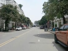 Hình ảnh Bán Liền kề Louis City Hoàng Mai, khu vực Trung tâm, 110M, 5T, MT 5m