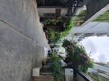 Hình ảnh Bán nhà HXH LÊ Văn Sỹ , 111m2,3 tầng nhỉnh 16 ty