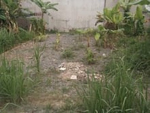 Hình ảnh Bán Đất 75m2 Vuông, Hẻm Xe Hơi Nguyễn Xiển Q9-TĐ. Giá Nhỉnh 3 Tỷ