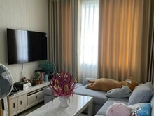 Hình ảnh C/c Topaz Garden, Trịnh Đình Thảo, TP, 70m2, 2PN, 2WC, NTCB, 9tr/th.