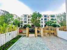 Hình ảnh Bán biệt thự song lập Ba Son Q1, 225 m², hoàn thiện mặt ngoài