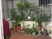 Hình ảnh Bán nhanh mảnh đất ngõ Âu Cơ, TH giá chỉ 17.5 tỷ, 54m2