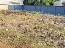 Hình ảnh Bán đất mặt tiền Đường số 17, Phường Bình Trưng Đông, Quận 2