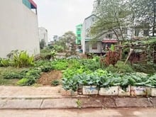 Hình ảnh Bán đất, HOÀ LẠC, huyện thạch thất, đối diện  ĐH FPT, ĐHQG, SÁT METRO.