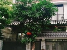 Hình ảnh Cho thuê nhà Biệt Thự Trung Văn Vinaconex, dt 180m,4t +1 hầm, giá 50tr