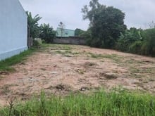 Hình ảnh 1100M2 Full thổ cư, ngay đường Nguyễn Thị Lắng, Tân Phú Trung, Củ Chi