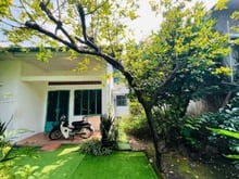 Hình ảnh Biệt thự Phúc Hải 240m2 ngang 12m giá siêu ngộp 8,5 tỷ sổ sẵn Trang MB66.COM Chính Thức - MB 66 Uy Tín