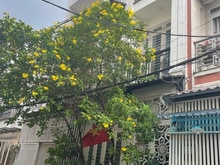 Hình ảnh Nhà HXH 5m Nguyễn Hữu Tiến, 4 tầng mới đẹp, Gần ĐH Công Thương, 6.1 Tỷ