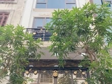 Hình ảnh Cần cho thuê gấp Nhà Liền Kề Licogi 13 Khuất Duy Tiến, 80m x5t,