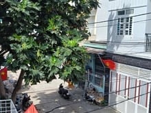 Hình ảnh BÁN NHÀ-DT72m2-2tầng-3P-Đ ôtô 8m-hòn sện-vĩnh Hoà-Nha Trang-chỉ 4ty8