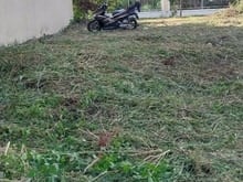 Hình ảnh Chính Chủ Bán - Sổ Sẵn Công Chứng - Vị trí đắc địa