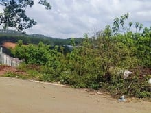 Hình ảnh Bán đất 557m View rừng thông Mặt tiền đường cạnh Mây Lang Thang Đà Lạt